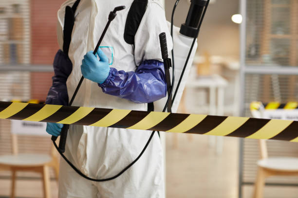 Professional Sewage Cleanup technician working in Yucaipa, CA